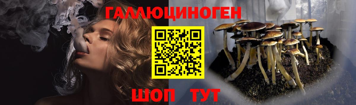 Галлюциногенные грибы мухоморы Великий Новгород